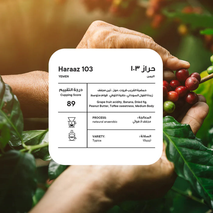 Piccolo - Yemen Haraaz 103 250 g Espresso & Filter Preparations