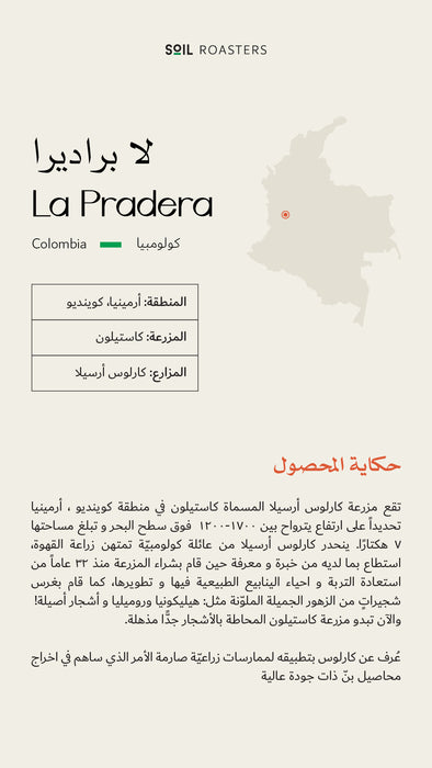 Soil Roastery - La pradera Colombia 1kg Filter & espresso Preparation