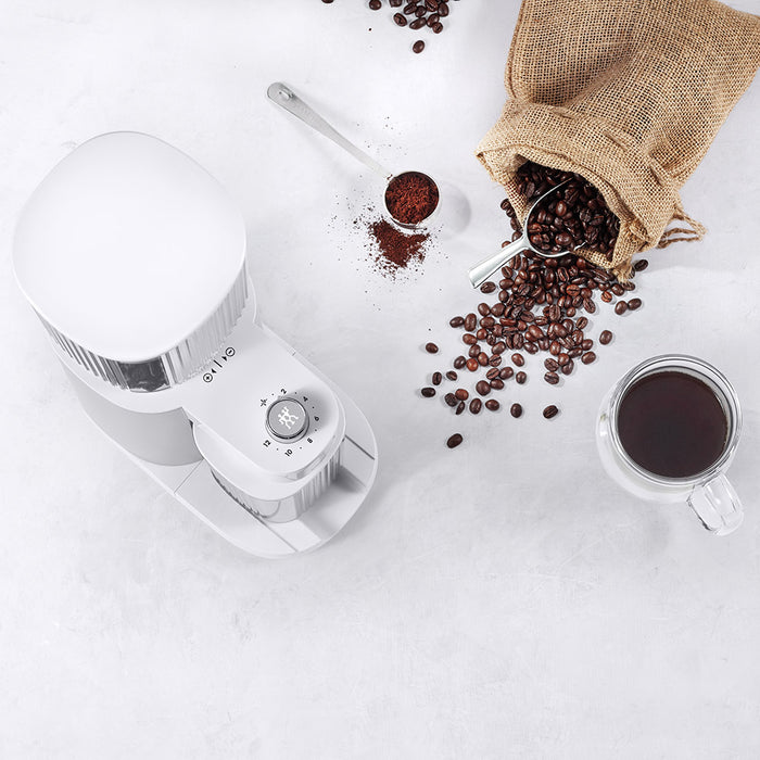 Zwilling - Enfinigy Coffee Grinder Silver | زويلينج - مطحنة قهوة إنفينيجي فضي