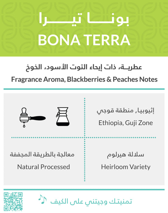Kifa - BONA TERRA Ethiopia 250 g Filter & Espresso Preparation