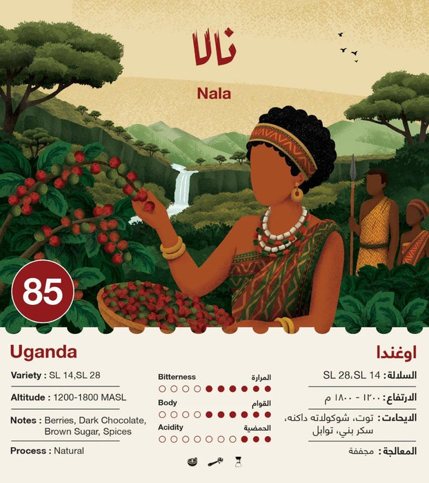 جبله - نالا أوغندا ٢٥٠ غرام لتحضير الإسبريسو والقهوة المفلترة