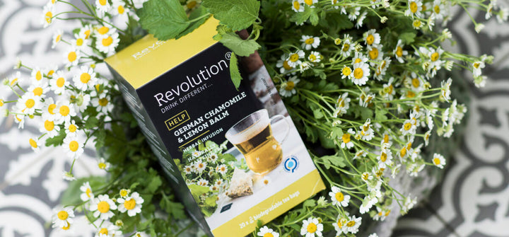 Revolution - HELP German Chamomile & Lemon Balm  Herbal Infusion 20 Bags |شاي اعشاب – البابونج الألماني و بلسم الليمون – المساعدة