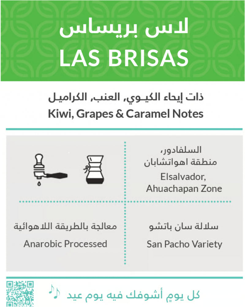 Kiffa Filter Coffee Bags | كفه -محمصة كفه لاس بريساس