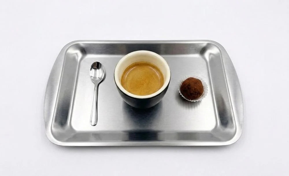 Small 20*10 stainless steel plate | صحن ستيل 20*10 صغير