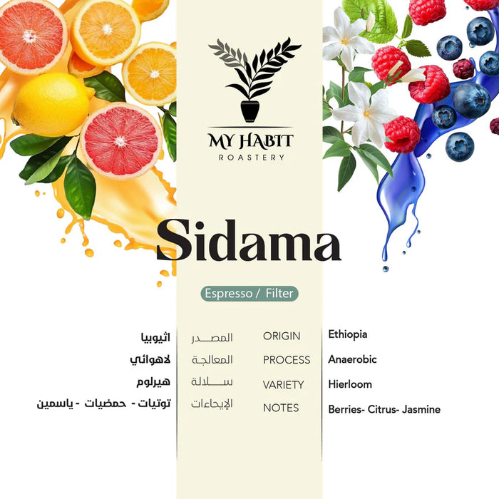 My Habit Roastery - Ethiopia Sidama Anaerobic 250 g  filter&Espresso Preparations