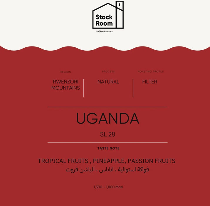 Stock Room - Uganda SL-28 250g Filter Coffee Preparation