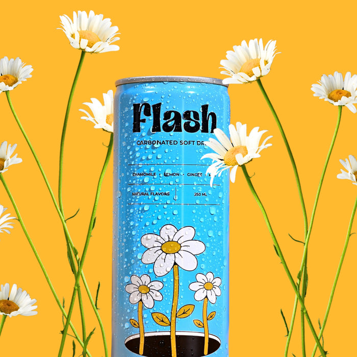 Flash - Carbonated soft drink 250 ml | فلاش - مشروب غازي 250 مل