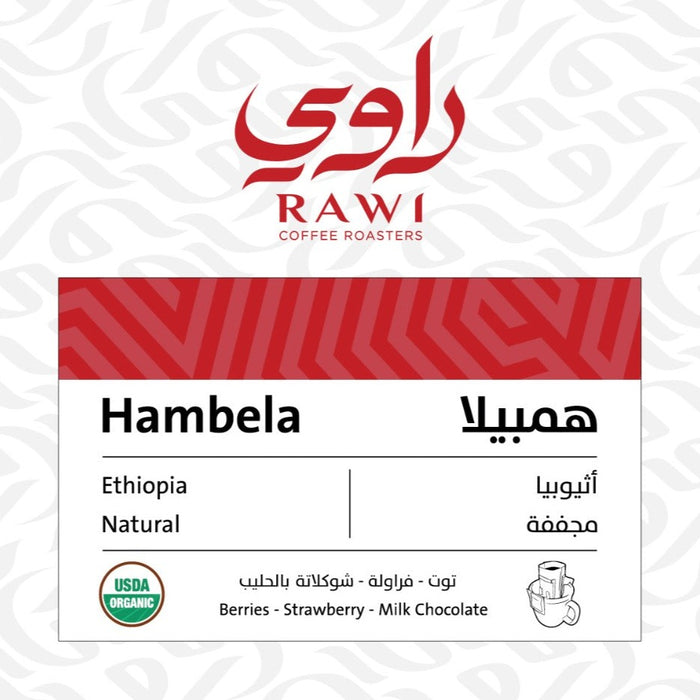 Rawi Coffee - Hambela 7 Drip Filters Bags |