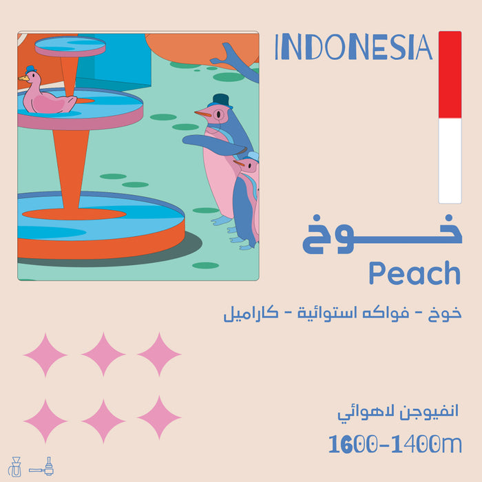 Olala Roastery - Peach Indonesia Infusion Coffee Beans 125g – Filter and espresso