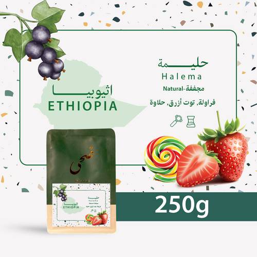 Doha - Ethiopia Halima 250g espresso & filter preparation