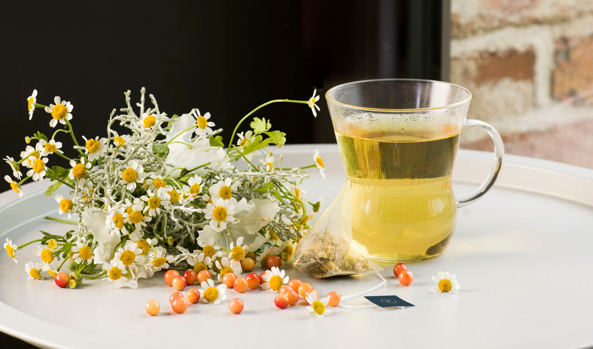 Revolution - DREAM – Norwegian Sea Buckthorn, Peppermint & Chamomile – Herbal Infusion 30 bags
