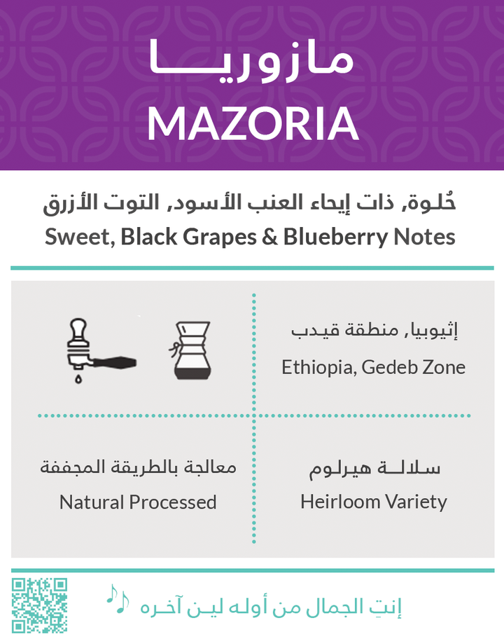 Kifa - Mazoria Ethiopia 5 Filter Bags | كفة - مازوريا إثيوبيا 5 أكياس قهوة مفلترة