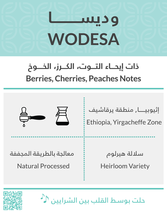 Kifa - WODESA 250 g Filter & Espresso Preparation