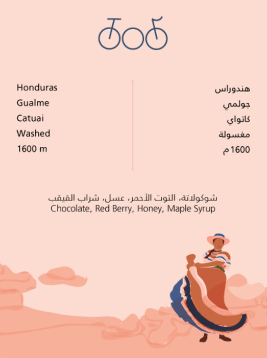 Tricycle Roastery - Honduras Gualme 250 g Filter & Espresso Preparations