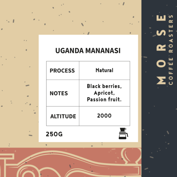 Morse Roastery - Uganda Mananasi ,250g  filter Preparation