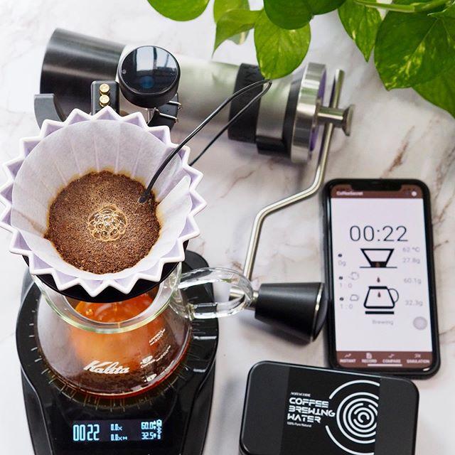 Ultrakoki Smart Scale (Dual Sensor)