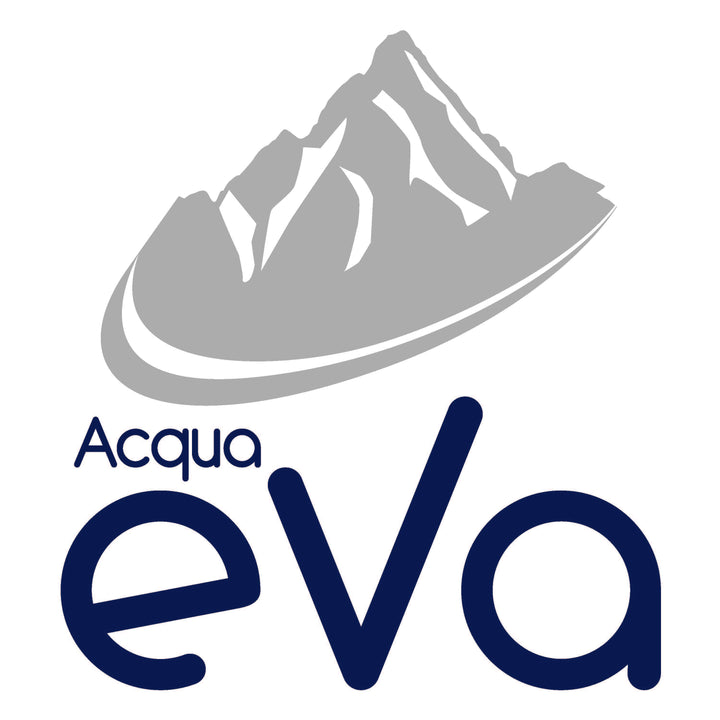 Aqua Eva - Sparkling water - 250 ml - 4 pcs | اكوا ايفا - مياه فوارة - 250 مل - 4 حبات