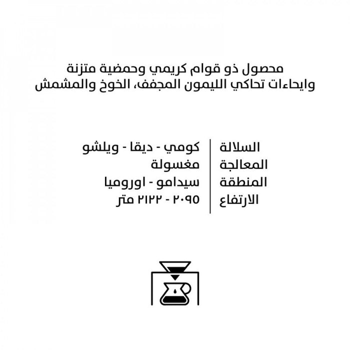 Qaf Roasters - Bensa Ethiopia - 250 g |  محمصة قاف - بينسا أثيوبيا - 250 جرام